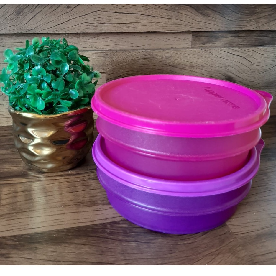 Tupperware Pote Dinamico Ml Shopee Brasil