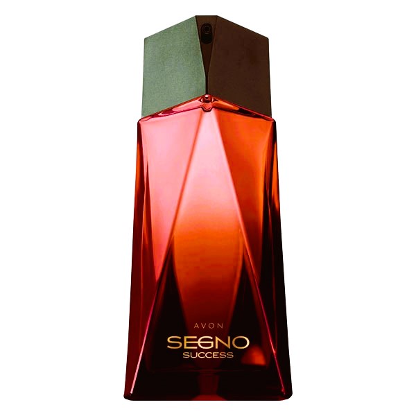 Avon Segno Success Eau De Parfum 100ml Perfume Masculino Shopee Brasil