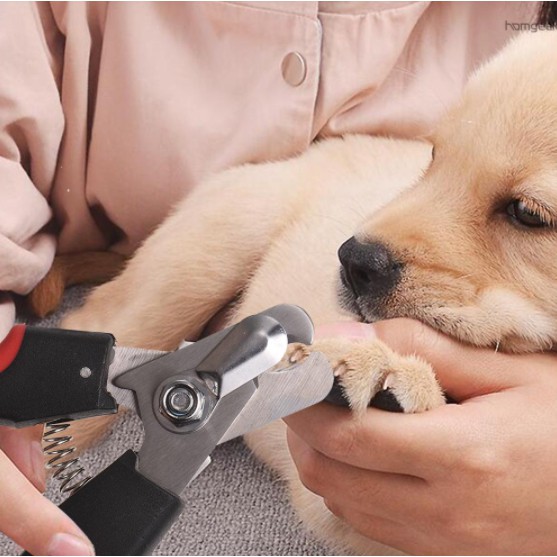 Tesoura Profissional Para Cortar Unhas De Cachorro De Estimação