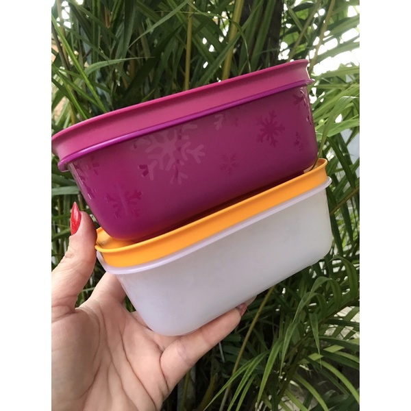 TUPPERWARE FREEZER LINE 450ML Shopee Brasil