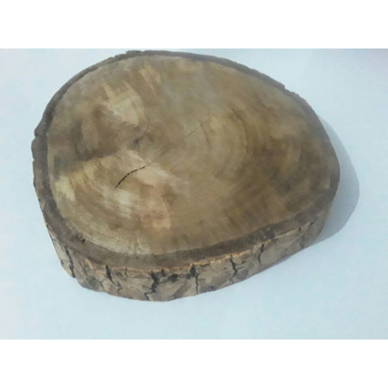 1 Bolacha De Madeira Rustica Verniz 14cm Tamanho Shopee Brasil