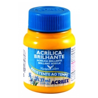 Tinta Acr Lica Brilhante Amarelo Ouro Ml I Acrilex Shopee Brasil