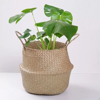 Vaso De Vime Cesta Certo Para Planta Decora O Suculentas Decorativo