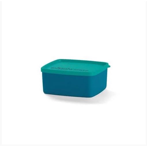 Pote Para Freezer Jeitosinho Ml Tupperware Shopee Brasil