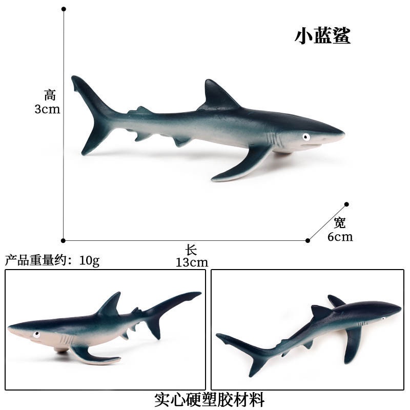 Tk Simula O Do Modelo De Vida Marinha Megalodon De Baleia Tubar O