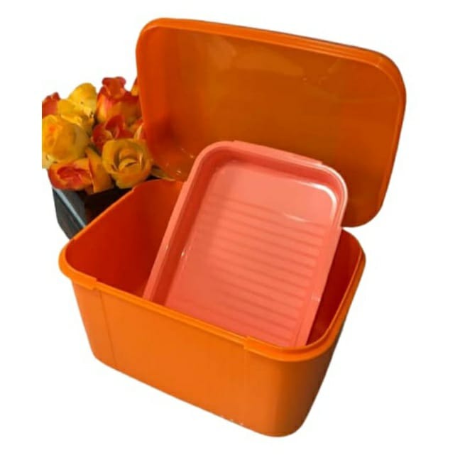 Tupperware Visual Box Bandeja 4 5 Litros Orange Shopee Brasil