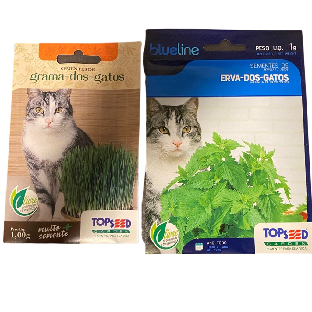 Sementes De Grama Para Gatos TOPSEED Shopee Brasil