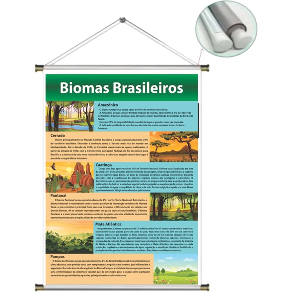 Banner Biomas Brasileiro 80x60cm Shopee Brasil