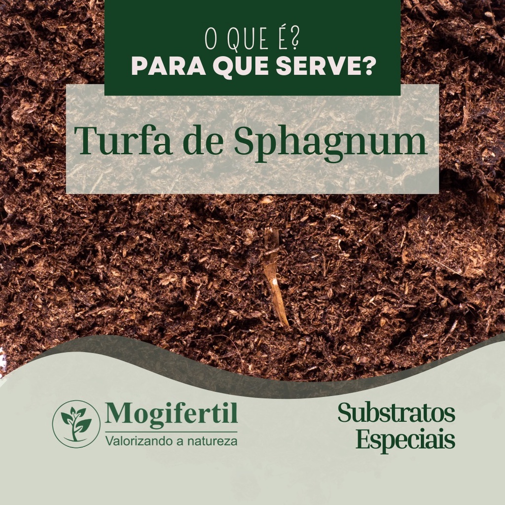 Turfa De Sphagnum Substrato Especial Adubo Org Nico Plantas Ou