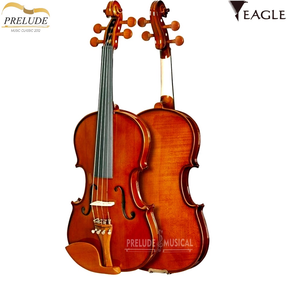 Violino Eagle Ve Completo Ajustado E Revisado Por Luthier