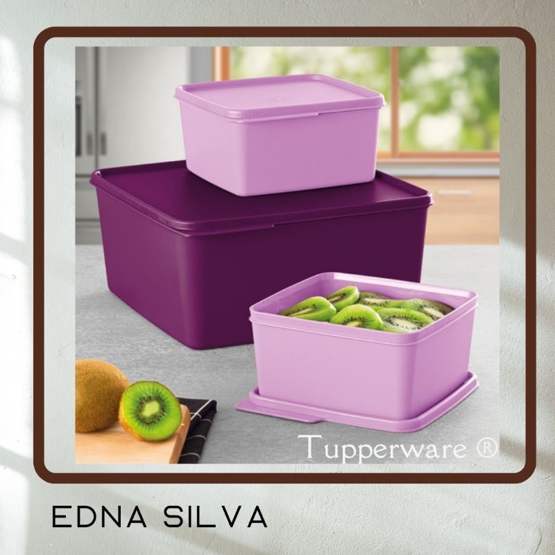 Kit Basic Line Tupperware Shopee Brasil