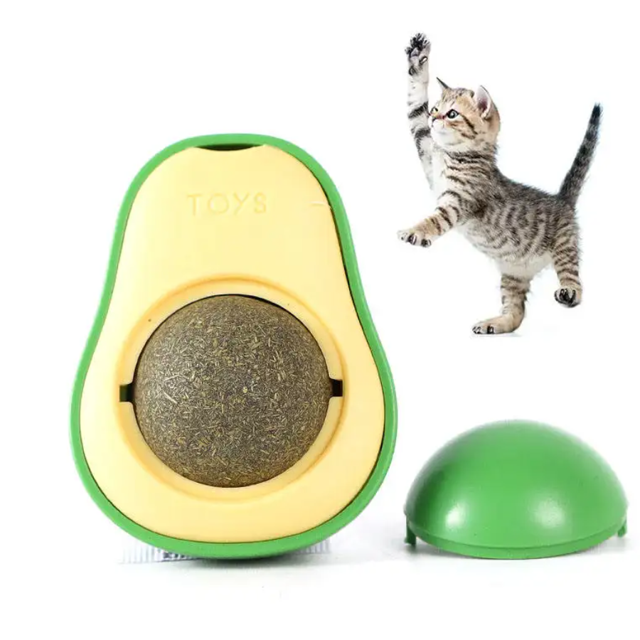 Abacate De Brinquedo Para Gatos Catnip Erva Gato Natural Shopee