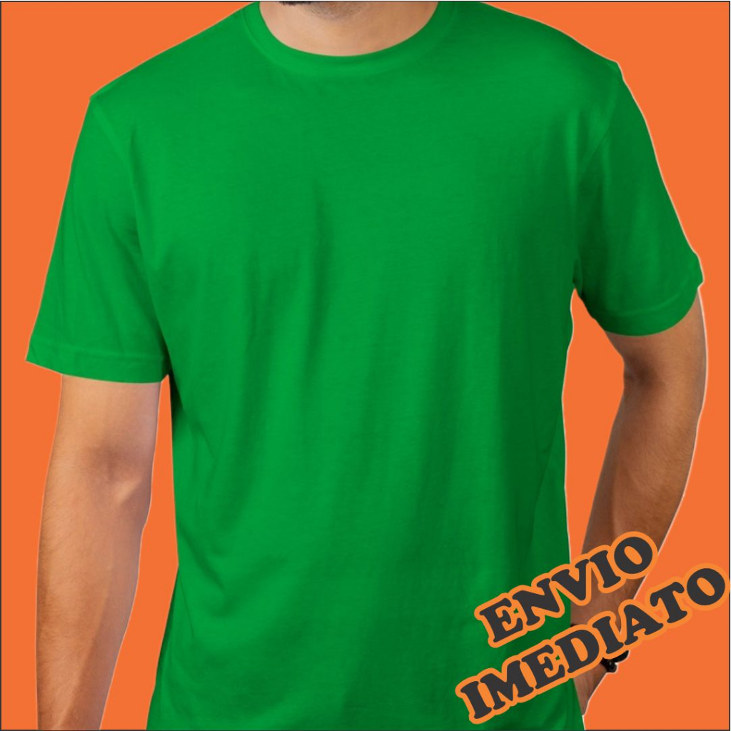 Camiseta Verde Bandeira Masculina B Sica Lisa Malha Fria Pv Shopee Brasil