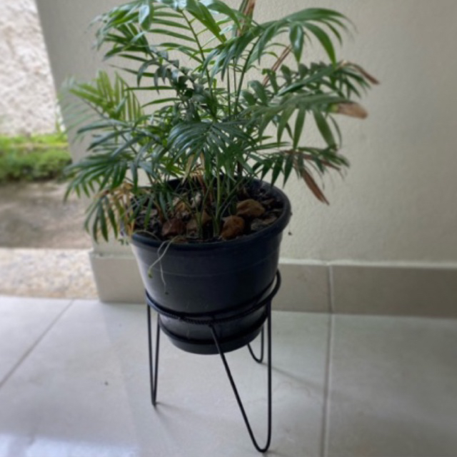 Suporte para plantas Tripé VASOS PESADOS ferro vergalhão 30x30 Shopee