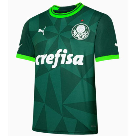 Nova Camisa Palmeiras Verde Gola Florescente Masculina Shopee Brasil