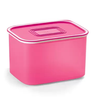 Tupperware Baseline Retangular L Pote Organizador Shopee Brasil