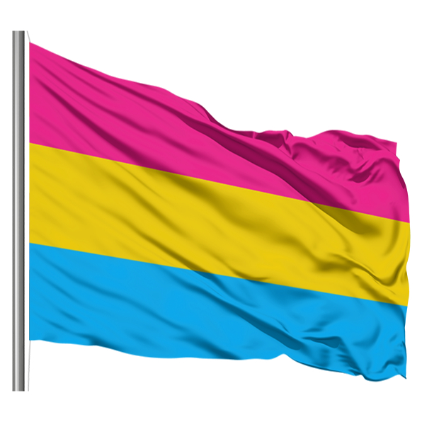 Bandeira Do Orgulho Lgbtqia Shopee Brasil