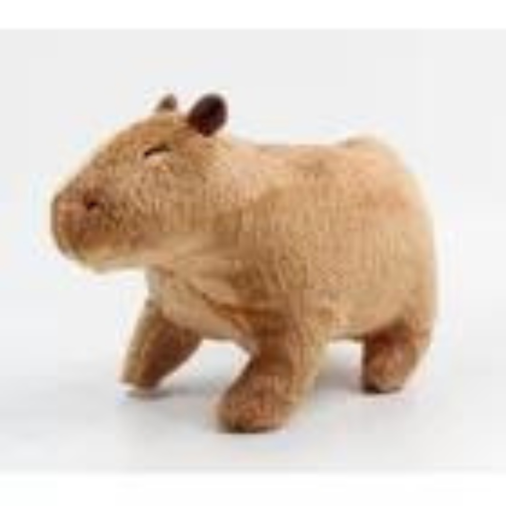 Capivara Filó Brinquedo Bicho De Pelúcia Fofa Famosa 30cm Shopee Brasil