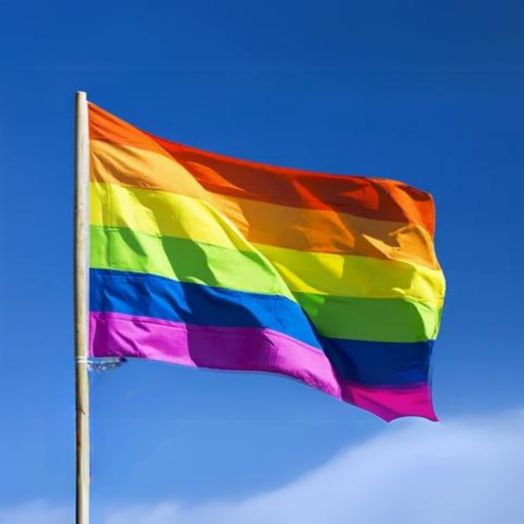 Bandeira LGBT Arco Iris Gay Homo cm x cm Dupla Face Reforçada Envio Imediato Shopee Brasil