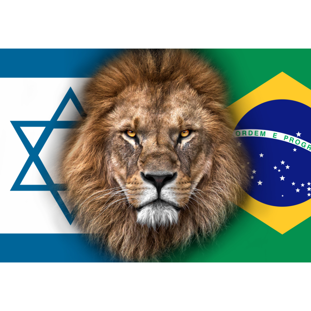 Bandeira Leão Da Tribo De Judá Brasil e Israel 1 45m X 90 cm em tecido