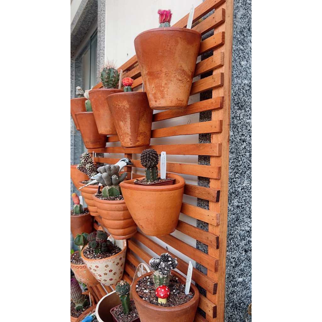 Jardim Vertical Madeira Eucalipto Painel 30 Cm 1 Unidade Shopee Brasil