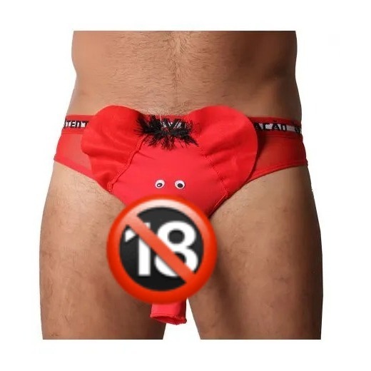 Cueca Elefante Tromba Lingerie Erótica Fantasia Masculina