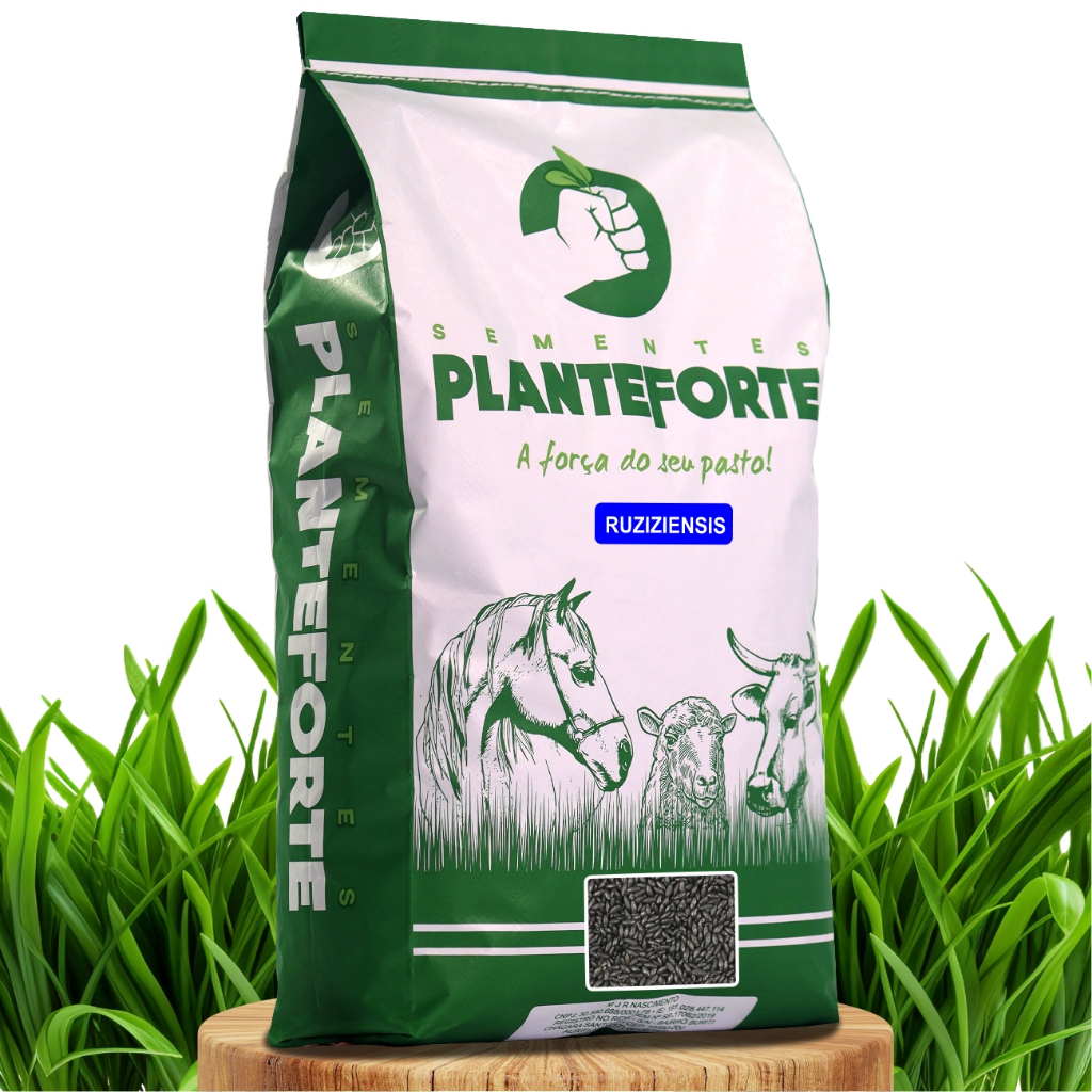 Brachiaria Ruziziensis Cv Ruzizienses Incrustada 2KG Shopee Brasil