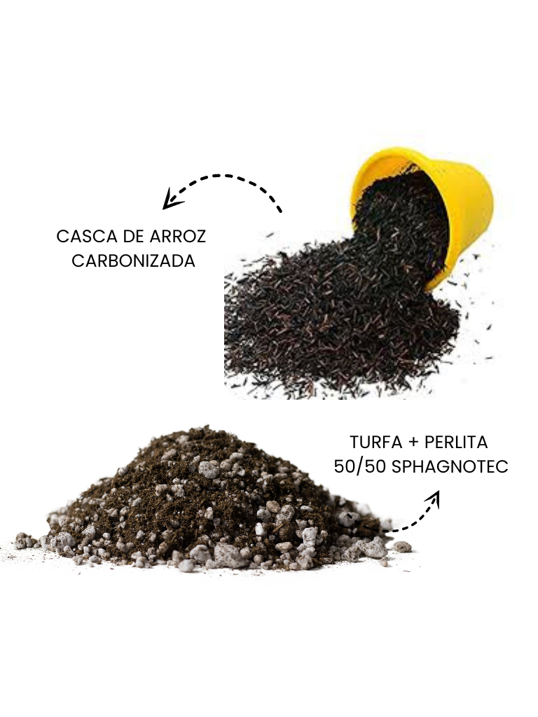 Casca De Arroz Carbonizada Turfa E Perlita Sphagnotec Litros