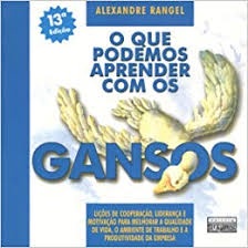 O Que Podemos Aprender Os Gansos Autor Alexandre Rangel Shopee Brasil