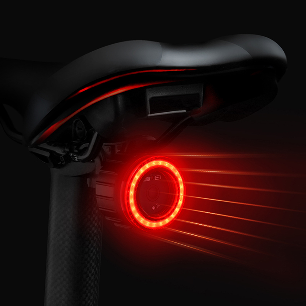 Luz Traseira De Bicicleta IPx6 À Prova D água Carregamento LED D