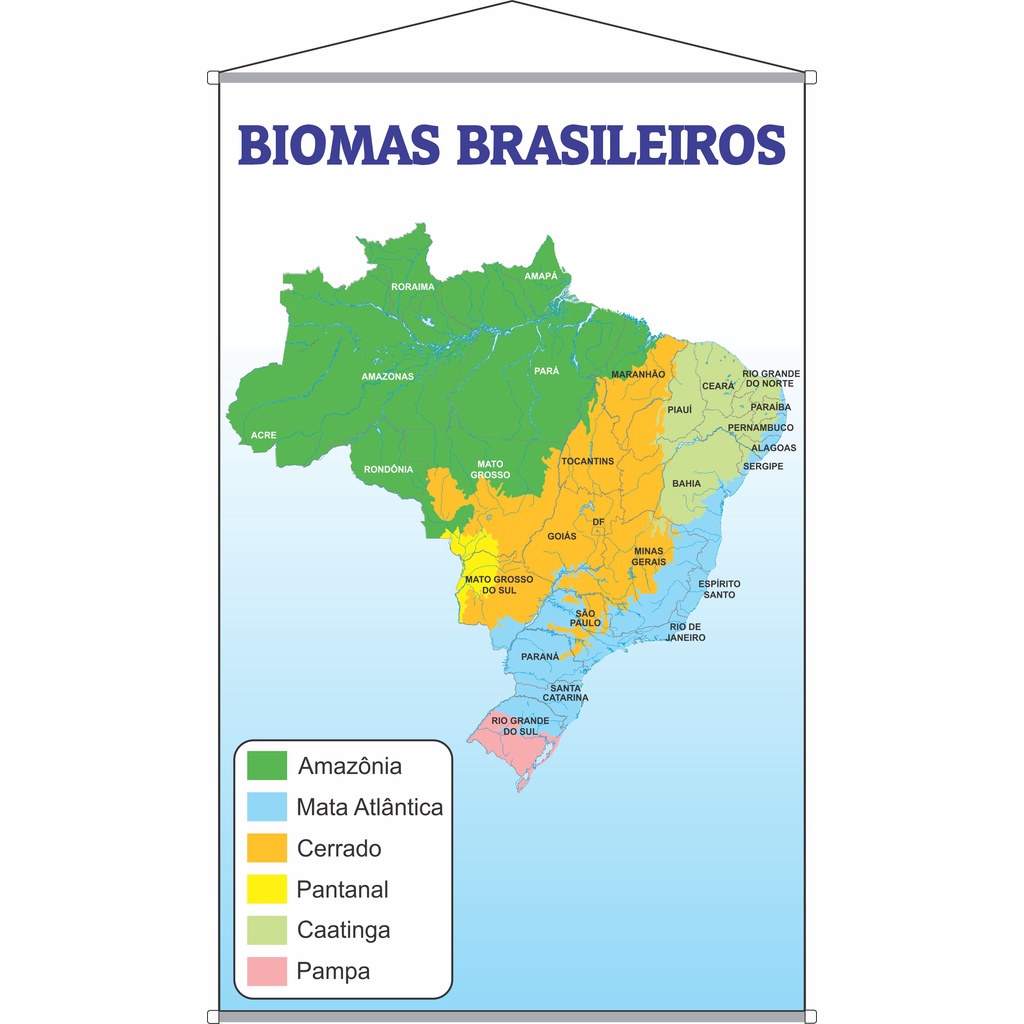 Banner Pedag Gico Educativo Biomas Brasileiro Vegeta O Shopee Brasil