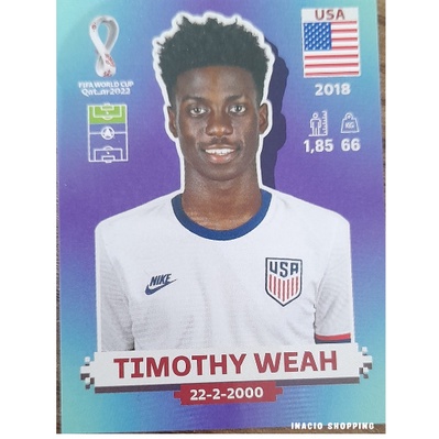 Figurinhas Da Copa Catar Panini Figurinha Estados Unidos Usa