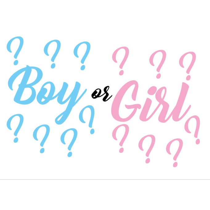 Adesivos Boy Or Girl Pricip Ou Princesa Menino Ou Menina Azul E