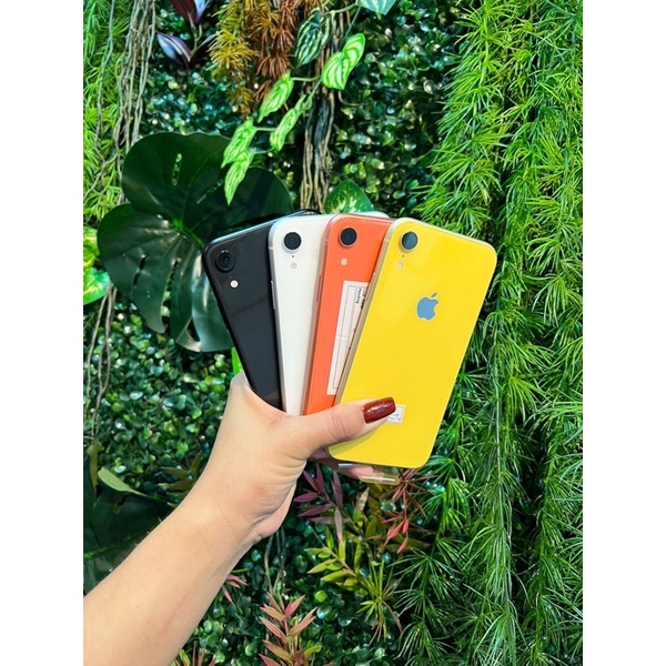 IPhone XR 64gb Vitrine Shopee Brasil