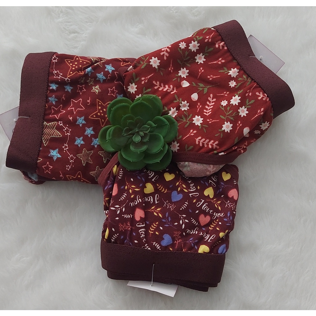 Conjunto lingerie menina moça juvenil infantil estampado top
