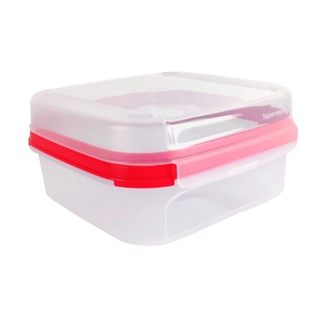 Tupperware Modular Quadrado Classic L Pote Organizador Shopee Brasil