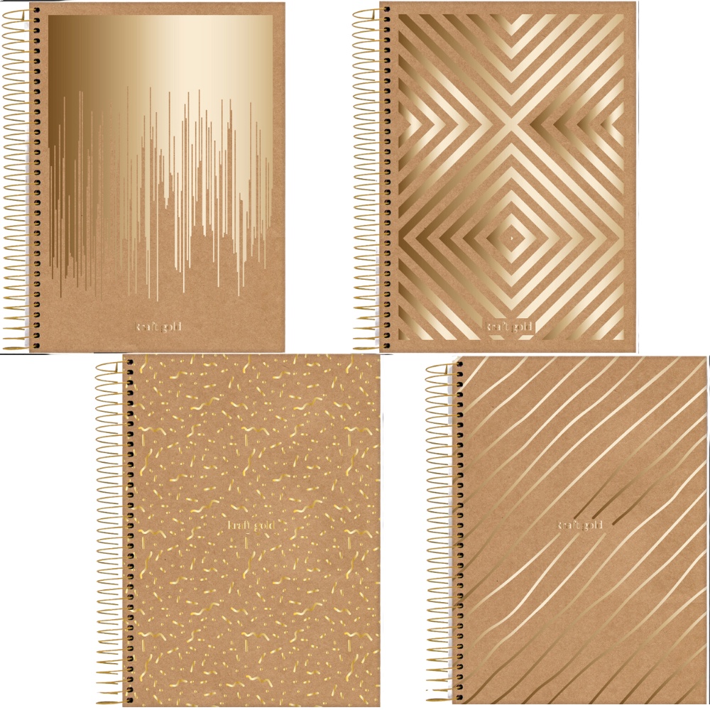 Caderno Colegial Kraft Gold 10 Matérias 160 Folhas Jandaia Sortido