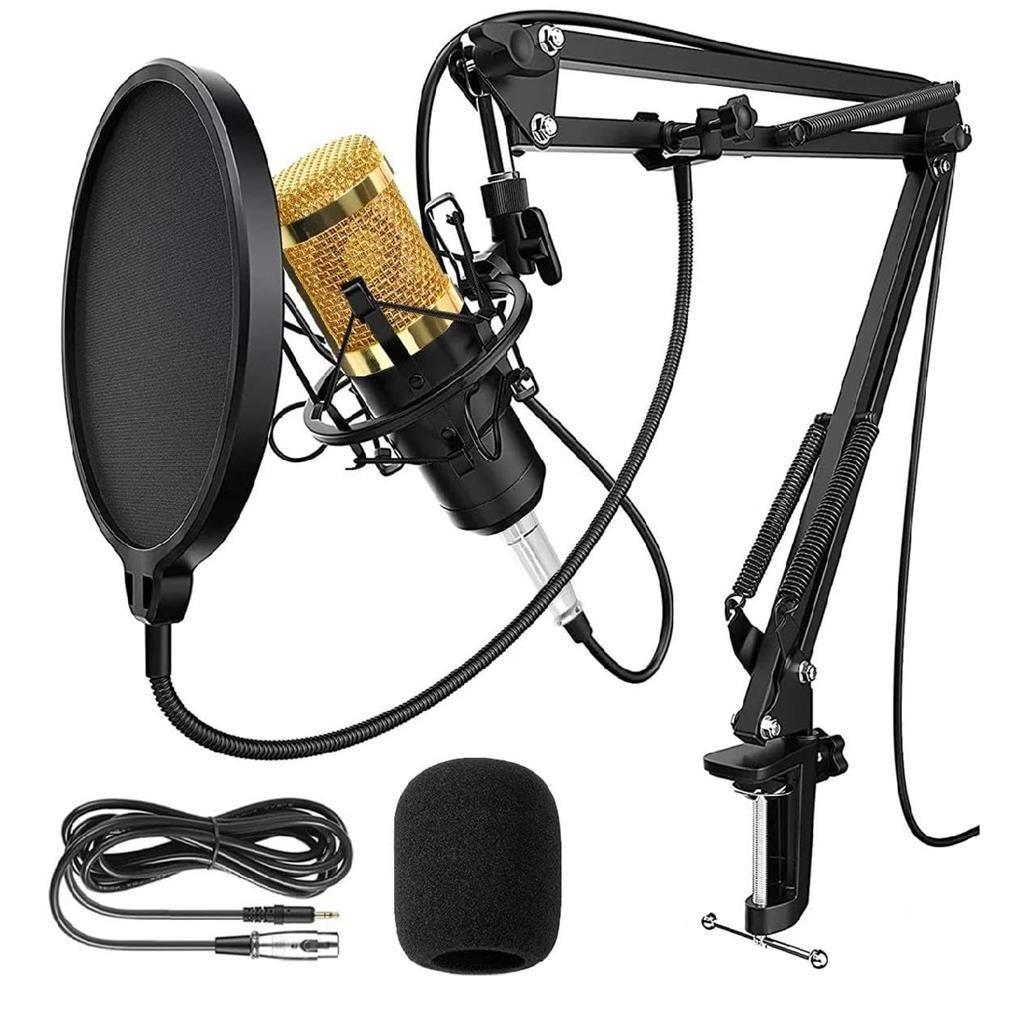 Kit Microfone Estudio Profissional Condensador Pop Filter Braco