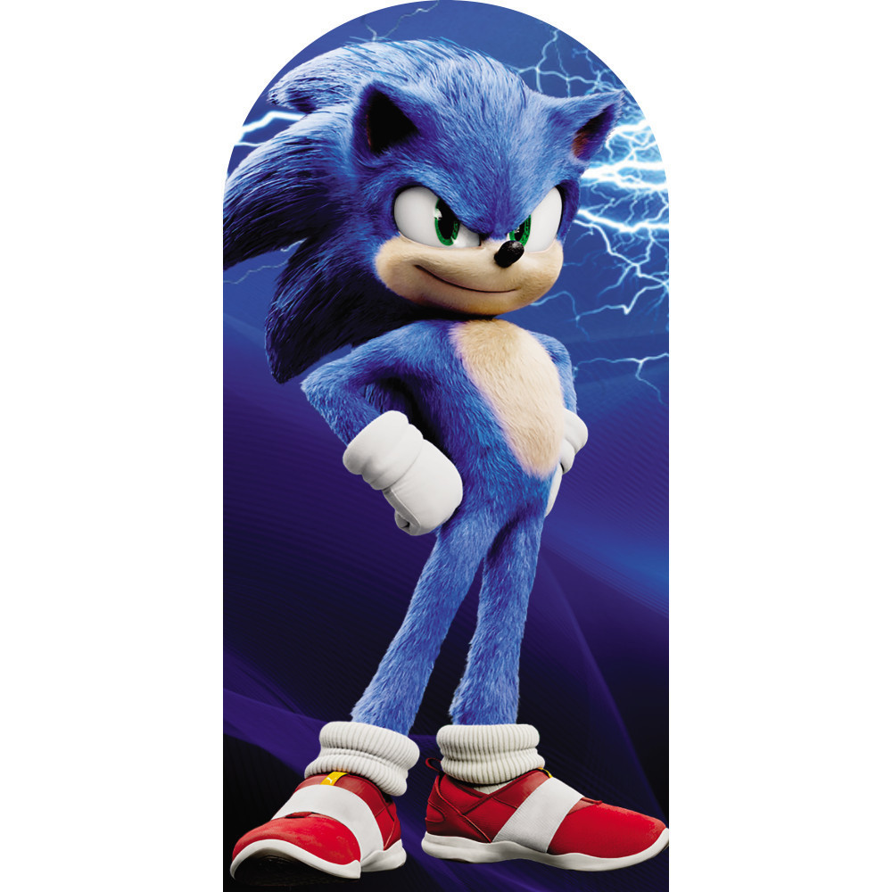 PAINEL DE FESTA SONIC ROMANO VERTICAL NA MEDIDA DE 180x90 TECIDO