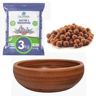 Kit Jardim de Suculenta Pronto e Fácil - 38x13cm Cor Tabaco
