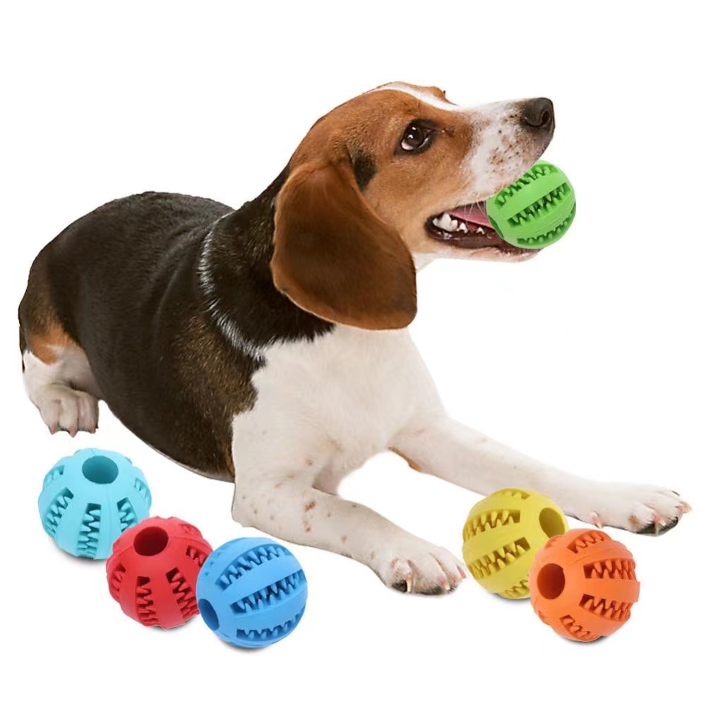 Bolinha Pet Games Funcional 6 em 1 e Super Resistente para Cães de Médio  Porte - Átomo Super M Pink