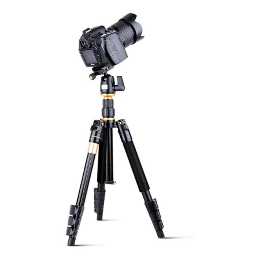 Tripe Monope Q555 Para Camera Com Cabeca Profissional | Shopee Brasil