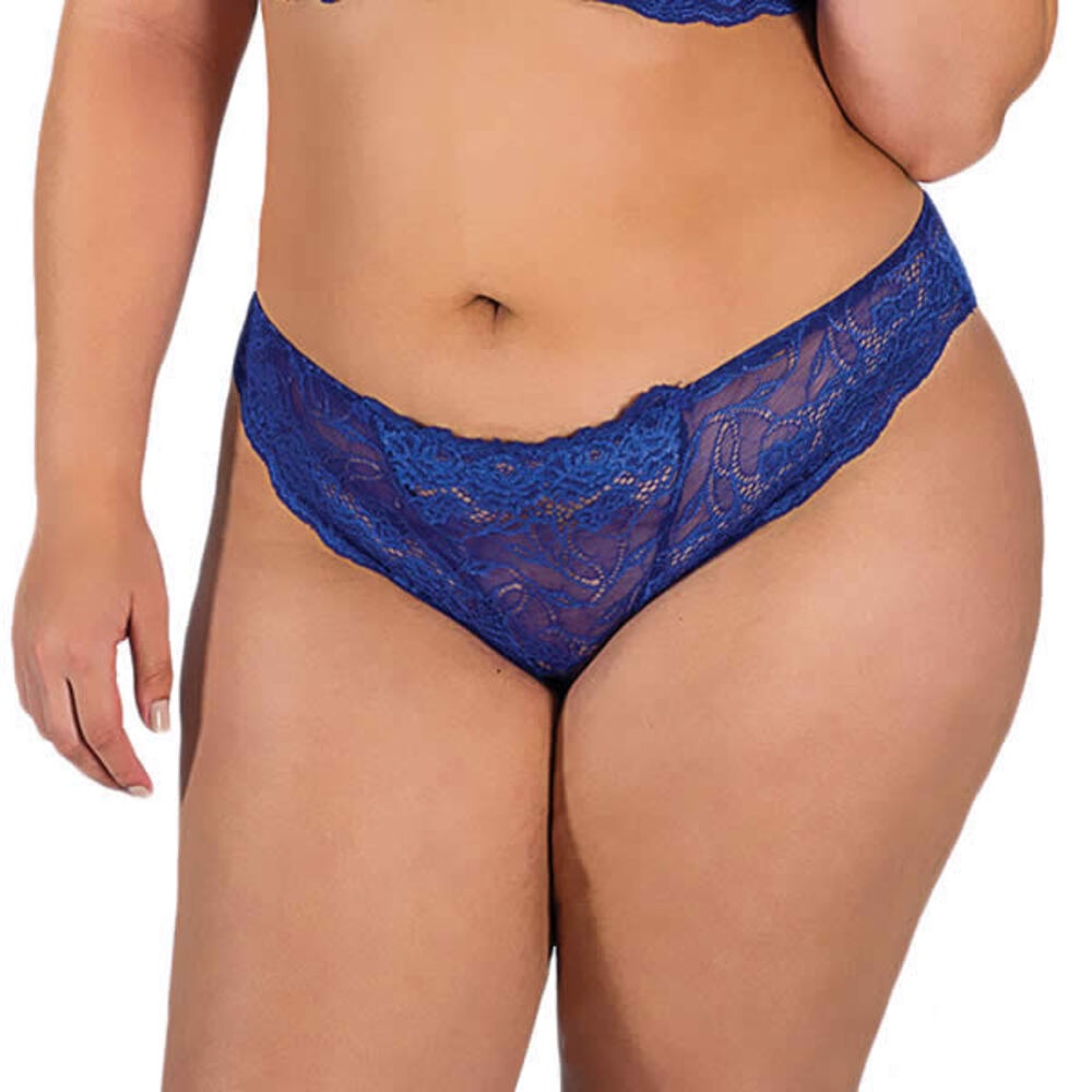 Calcinha Sensual Plus Size em Renda Transparente Lingerie Sexy Moda de  Baixo - PL228-PL227 | Shopee Brasil