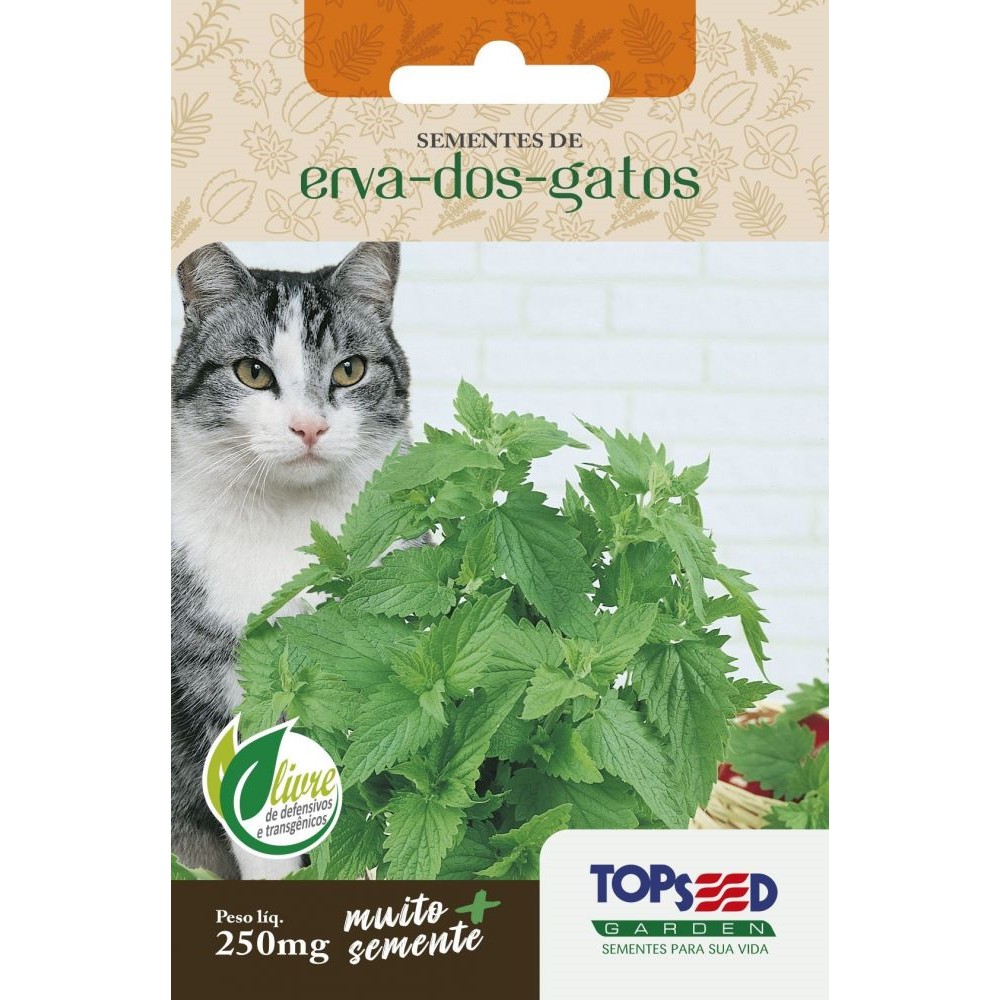 Comprar Sementes de Erva dos Gatos (Catnip) - Semente Rara - Venda