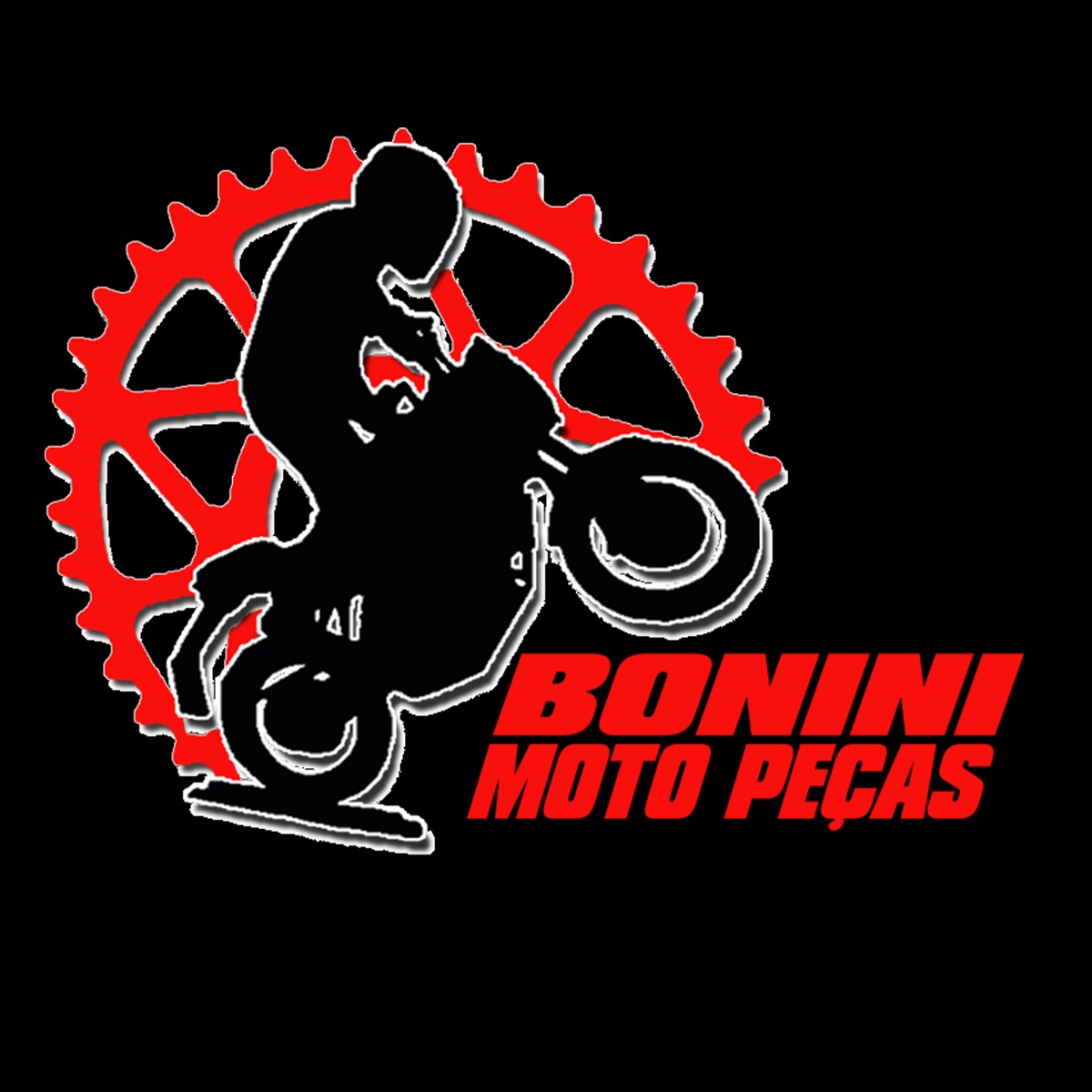 Bonini Moto Peças, Loja Online