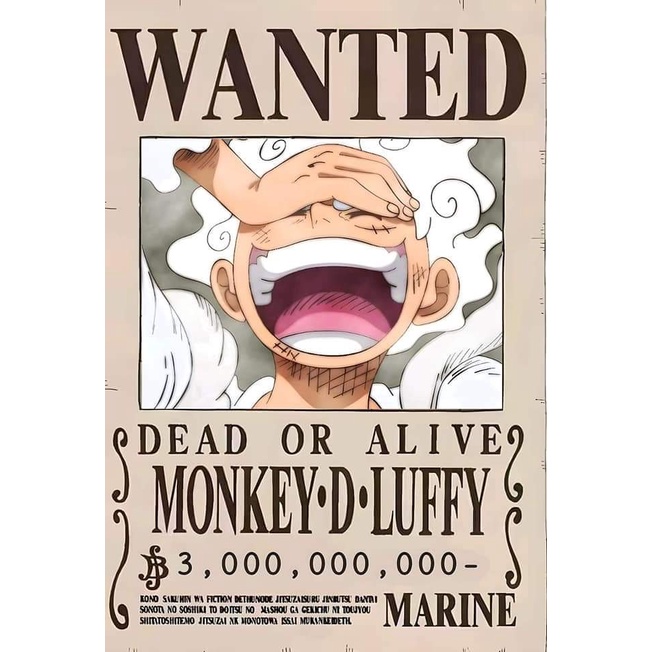 Quadro Plaquinha mdf one piece,cartaz procurado, poster one piece ...