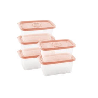 Conjunto de Potes de Plástico Retangulares 380 ml Pop 5 Unidades Vinho Malbec-Rosa Pastel/2022
