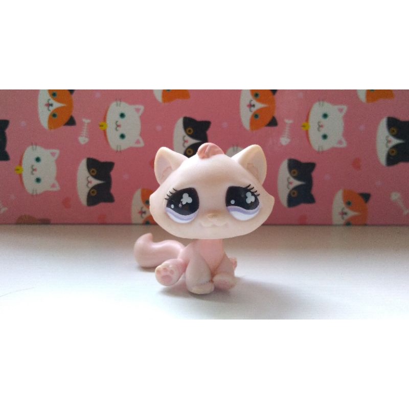 Littlest pet shop Tabby cat | Shopee Brasil