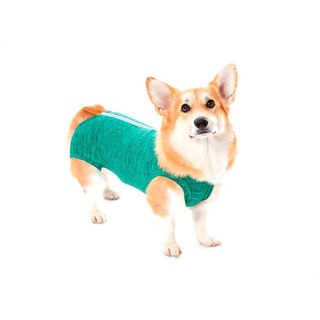 Roupa Pós Cirúrgica Para Cachorro Machos Fêmeas Tamanho 04 - Verde