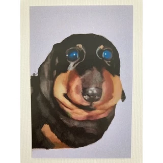 Print meme cachorro